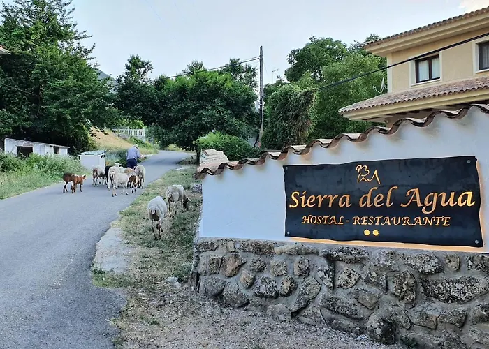 Hospedium Hostal Sierra Del Agua