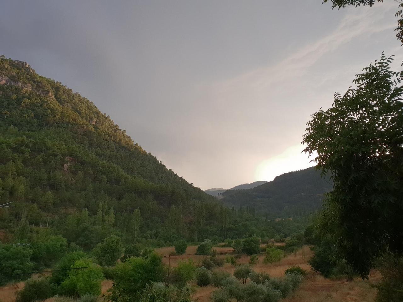 Hospedium Sierra Del Agua Maison d'hôtes
